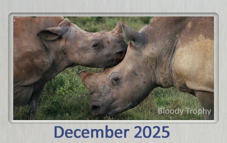 Best Shorts Competition Film Awards From Oscar winners to Hot New Talent.